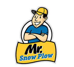 REPLACES WESTERN 61535K RELAY KIT